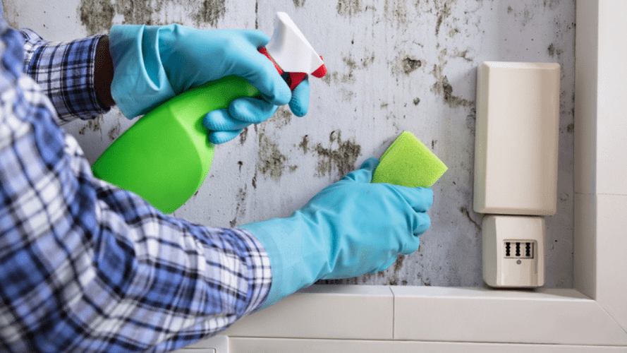A tenant cleaning their rented home before moving out